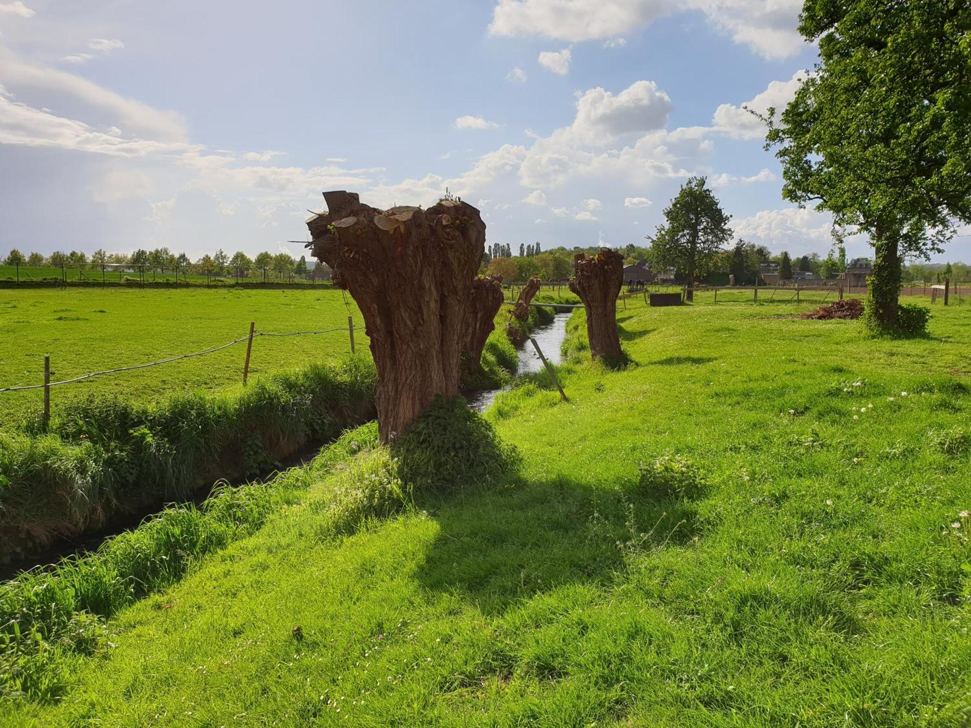 Meschermolen 13 Eijsden Extérieur photo